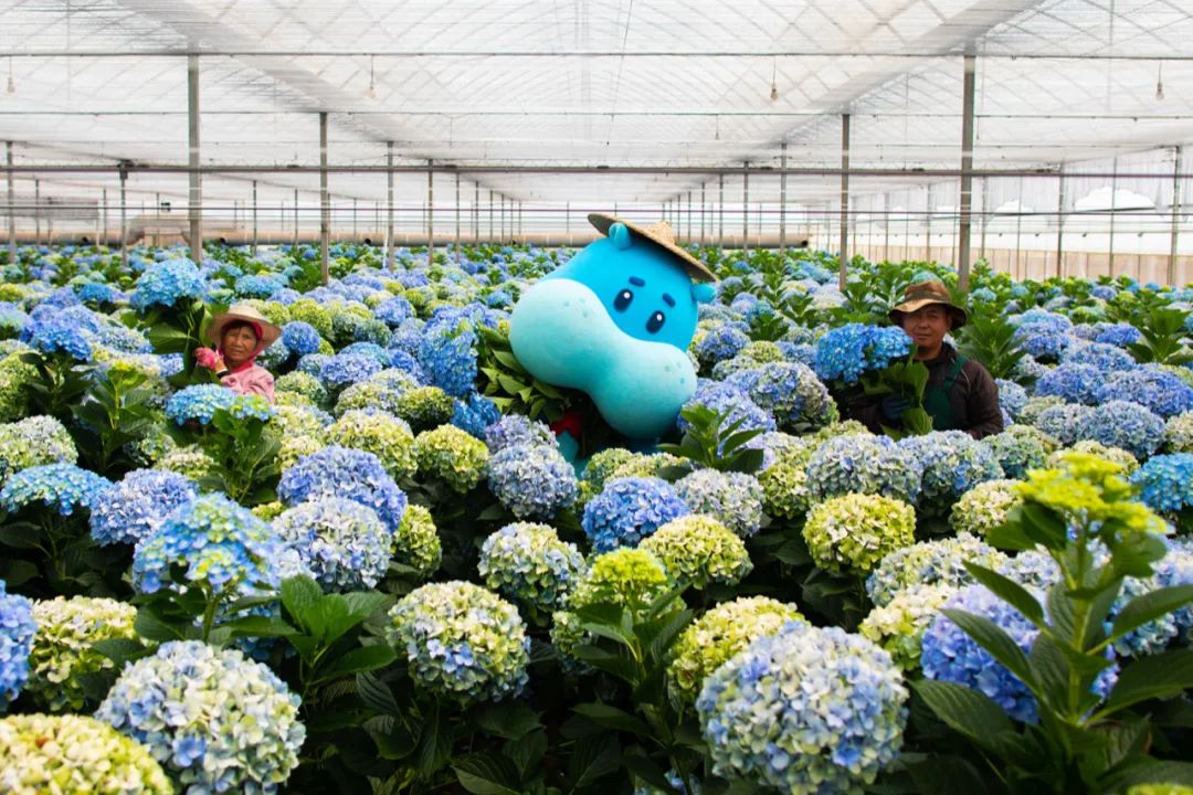 深圳品牌設(shè)計(jì)｜爛漫春日，這4個(gè)APP的鮮花營銷做得好有“花樣”！