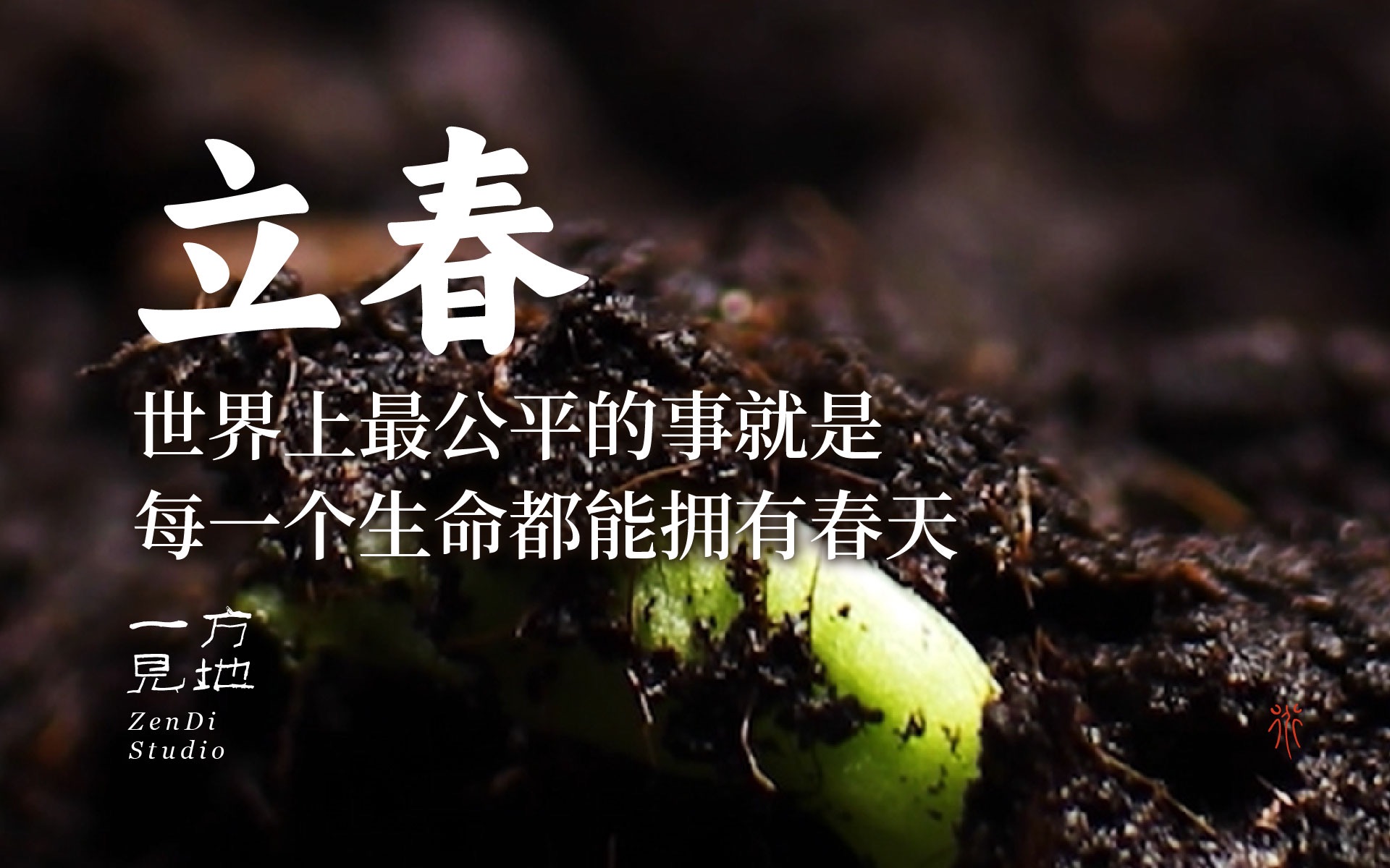 深圳品牌設(shè)計(jì)｜教科書級(jí)節(jié)氣文案，圈粉700W