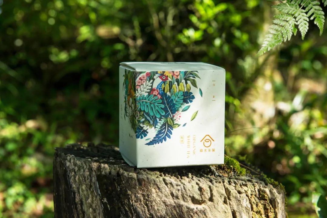 深圳品牌設(shè)計(jì)｜循環(huán)再利用，用茶渣造紙包裝茶葉——臺灣綠光茶園環(huán)保有機(jī)茶包裝設(shè)計(jì)欣賞